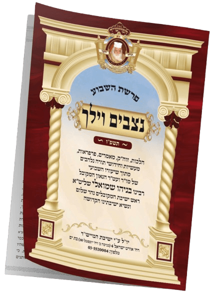 ניצבים תשפ"ו