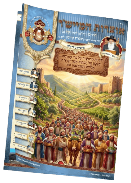 כי תבוא תשפ"ו