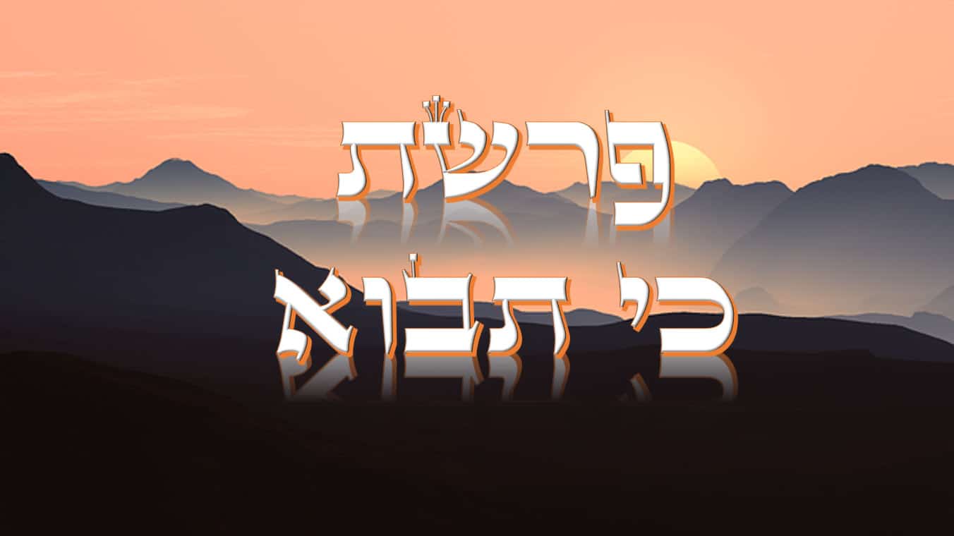 על הפרשה: כי תבא אל הארץ
