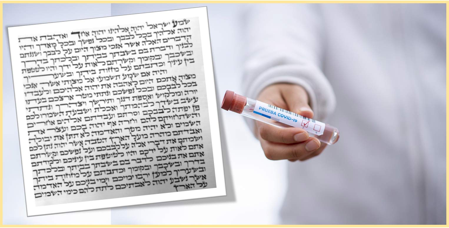 בדיקת קורונה 50/50, בדיקת תפילין ומזוזות 100% חובה!