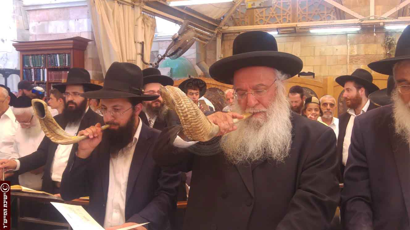 על הפרשה: השופטים והשוטרים של האדם.