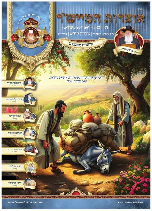 משפטים תשפ"ה