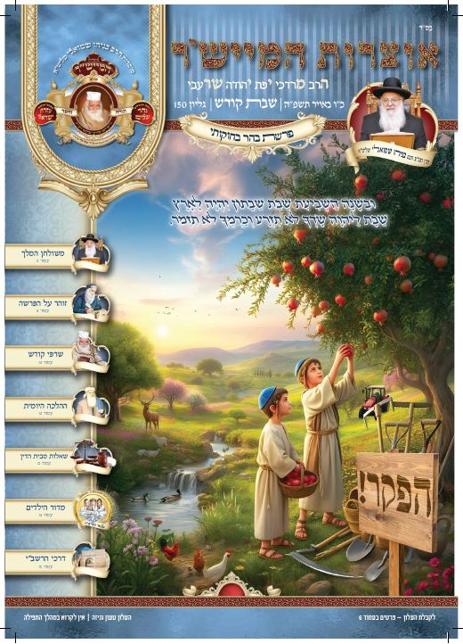 בהר - בחוקותי תשפ"ה