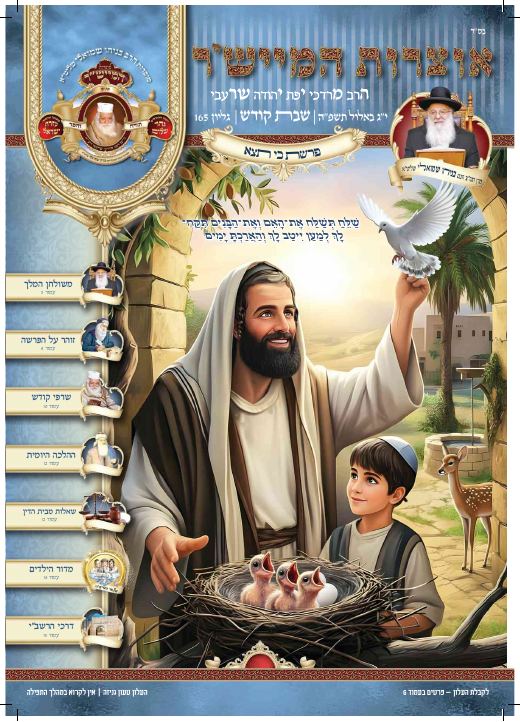 כי תצא תשפ"ה
