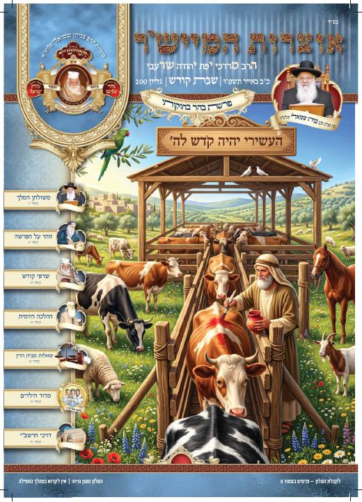 בהר - בחוקותי תשפ"ו